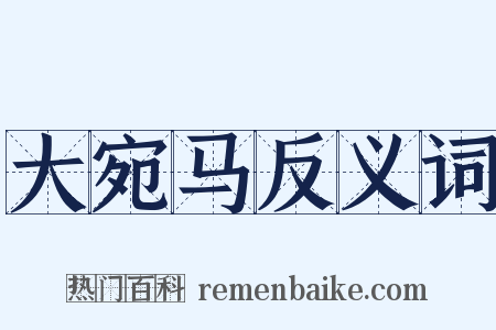 大宛马反义词是什么意思的图片